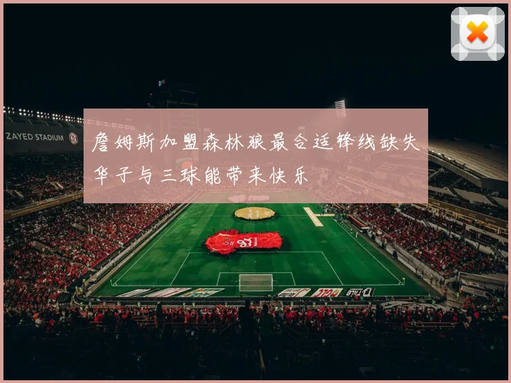 詹姆斯加盟森林狼最合适锋线缺失华子与三球能带来快乐
